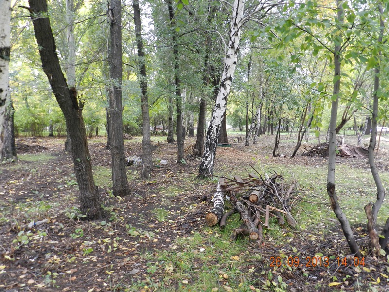 Горожане постоянно чистят и убирают территорию парка.
