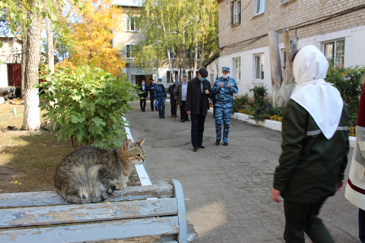 В защиту прав осужденных 